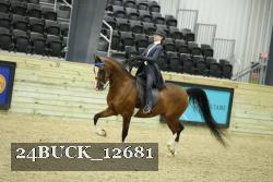 24BUCK_12681 thumbnail