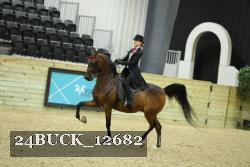 24BUCK_12682 thumbnail