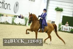 24BUCK_12683 thumbnail