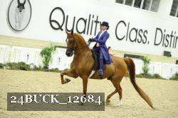 24BUCK_12684 thumbnail