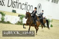 24BUCK_12685 thumbnail