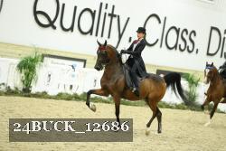 24BUCK_12686 thumbnail
