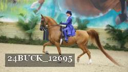 24BUCK_12695 thumbnail