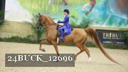 24BUCK_12696 thumbnail
