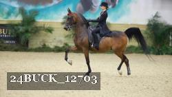 24BUCK_12703 thumbnail