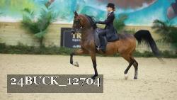 24BUCK_12704 thumbnail