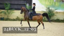 24BUCK_12705 thumbnail