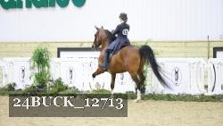 24BUCK_12713 thumbnail