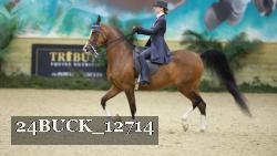24BUCK_12714 thumbnail