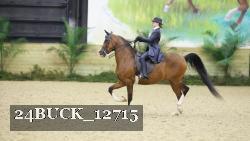 24BUCK_12715 thumbnail