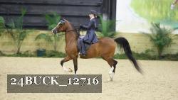 24BUCK_12716 thumbnail