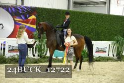 24BUCK_12722 thumbnail