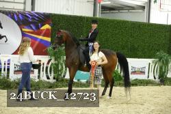 24BUCK_12723 thumbnail