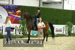 24BUCK_12724 thumbnail