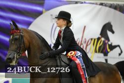 24BUCK_12726 thumbnail