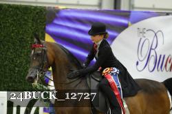 24BUCK_12727 thumbnail