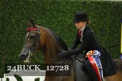 24BUCK_12728 thumbnail