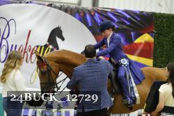 24BUCK_12729 thumbnail