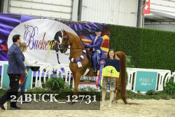 24BUCK_12731 thumbnail