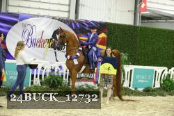 24BUCK_12732 thumbnail
