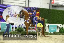 24BUCK_12733 thumbnail