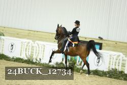 24BUCK_12734 thumbnail