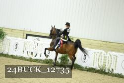 24BUCK_12735 thumbnail