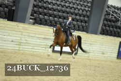 24BUCK_12736 thumbnail