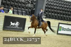 24BUCK_12737 thumbnail