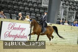 24BUCK_12738 thumbnail