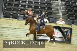 24BUCK_12740 thumbnail