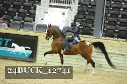 24BUCK_12741 thumbnail