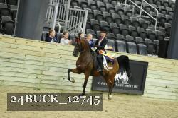 24BUCK_12745 thumbnail
