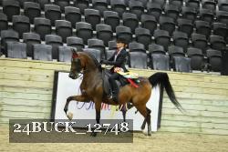 24BUCK_12748 thumbnail