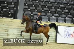 24BUCK_12750 thumbnail