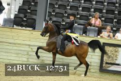24BUCK_12751 thumbnail