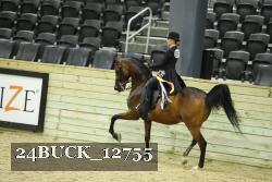 24BUCK_12755 thumbnail
