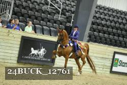 24BUCK_12761 thumbnail