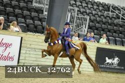 24BUCK_12762 thumbnail