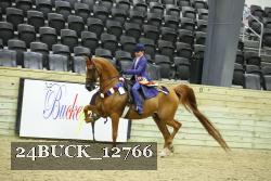 24BUCK_12766 thumbnail