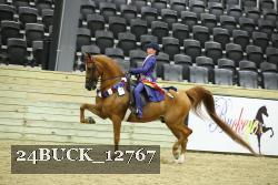 24BUCK_12767 thumbnail