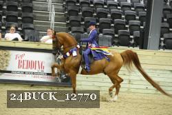 24BUCK_12770 thumbnail