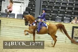 24BUCK_12771 thumbnail