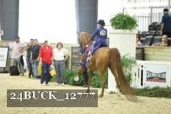 24BUCK_12777 thumbnail