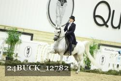24BUCK_12782 thumbnail