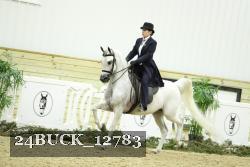 24BUCK_12783 thumbnail