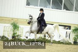 24BUCK_12784 thumbnail