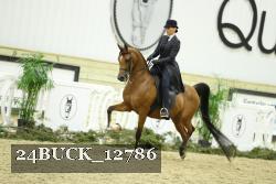 24BUCK_12786 thumbnail