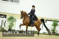 24BUCK_12787 thumbnail