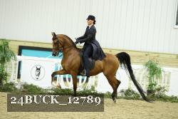 24BUCK_12789 thumbnail